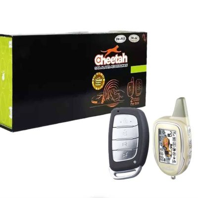 دزدگیر تصویری چیتا